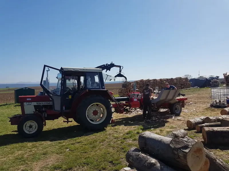 Traktor mit Kran neben Stammholz, im Hintergrund Holzstapel