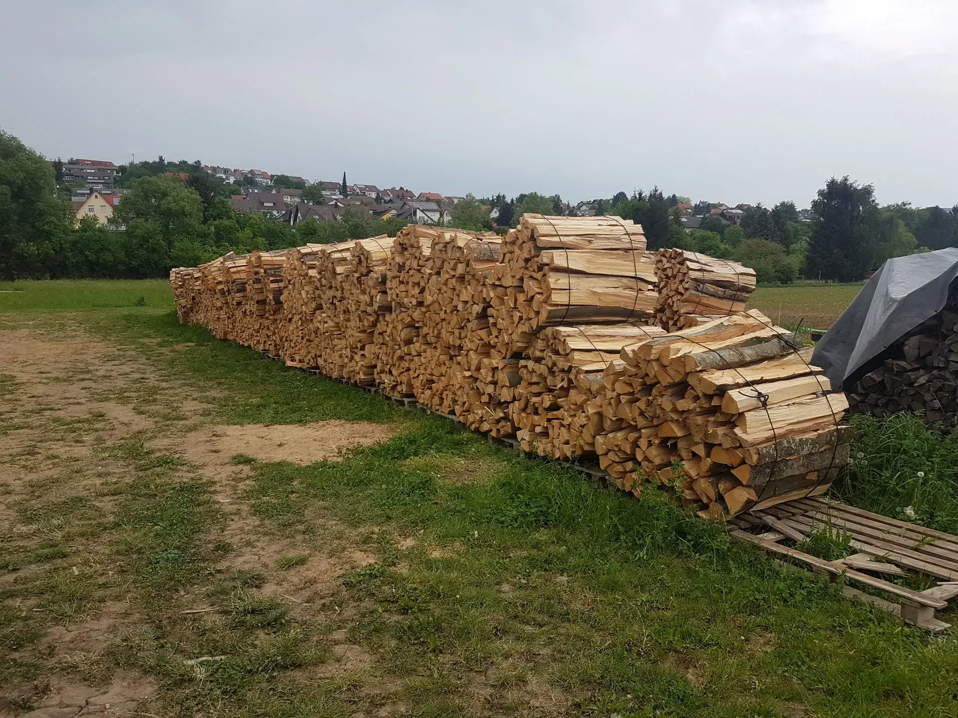 Lange Reihe gebündelter Raummeter Brennholz auf Paletten am Ortsrand von Rottenburg